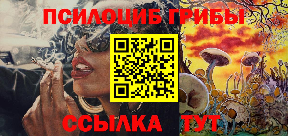 Галлюциногенные грибы Psilocybine cubensis Усолье-Сибирское