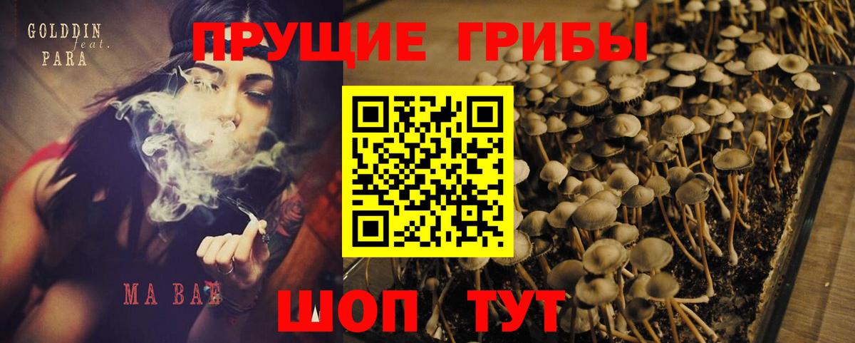 Псилоцибиновые грибы мухоморы  Вход с VPN  Усолье-Сибирское 